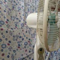 پنکه|پنکه و تصفیهکنندهٔ هوا|مشهد, پنجتن|دیوار