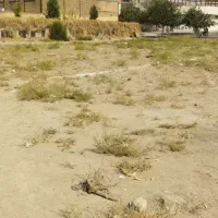 فروش زمین ۱۰۰ متری در عباس‌آباد|فروش زمین و ملک کلنگی|مشهد, عباس‌آباد|دیوار