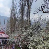 اسنخدام نگهبان باغ