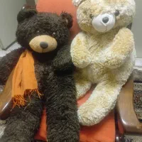 دو عدد عروسک خرس خارجی