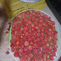 گوجه ربی درجه یک|خوردنی و آشامیدنی|اصفهان, بابوکان|دیوار