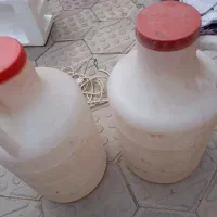 دبه خیار شور