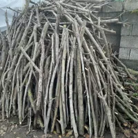 فروش چوب گردو وچوب انجیر|خدمات باغبانی و درختکاری|شلمان, |دیوار