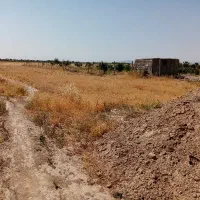 فروش زمین تنکمان