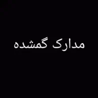 کیف دستی گمشده