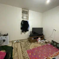 اجاره|اجارهٔ آپارتمان|بم, |دیوار