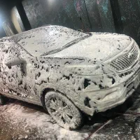 نیروی کار در کارواش