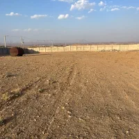 فروش-گاوداری