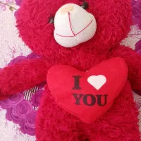 دوعدد عروسک|اسباب‌بازی بچه|تبریز, |دیوار