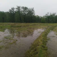 3000-متر-زمین-شالیزاری