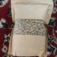 پلت جوندگان