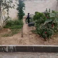 ۲۰۵ متر زمین ملکی با ۸۰ متر زیر بنا در شهرک گچی|فروش زمین و ملک کلنگی|شیراز, گچی|دیوار