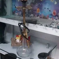 قلیون مارک کرنو