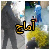 شرکت سمپاشی آماج سم پاشی ساس سوسک کک کنه،موش درخت.