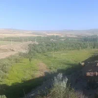باغ