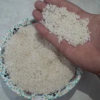 فروش طارم هاشمی برنج خوش عطر خوش پخت فریدونکنار|خوردنی و آشامیدنی|فریدون‌کنار, |دیوار