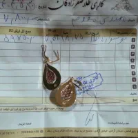 طلا گوشواره