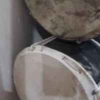 دمام بوشهری نوی نو