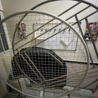 بک گراند بادکنک و گل آرایی فروشی