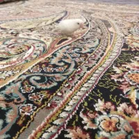 سه عددکوتوله ویک عروس