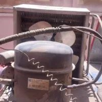 یخچال ویترینی مغازه|یخچال و فریزر|دهگلان, |دیوار