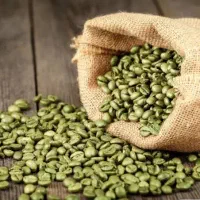 فروش قهوه سبز