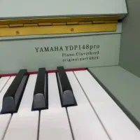 پیانو یاماها|پیانو، کیبورد، آکاردئون|کرج, برغان|دیوار