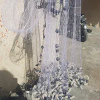 تورپرتابی|ماهیگیری|یاسوج, |دیوار