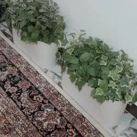 دوعددگل چمدانی شیک