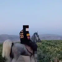 خرید و فروش اسب