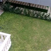 طراحی فروش و نصب چمن مصنوعی گرین وال.فنس چمنی برگی|خدمات باغبانی و درختکاری|رویان, |دیوار