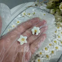تهیه انواع قند و نبات گیاهی و طعم دار|خوردنی و آشامیدنی|تهران, ولی آباد|دیوار