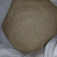 برنج لاشه طارم روشن اصل سورتینگ شده