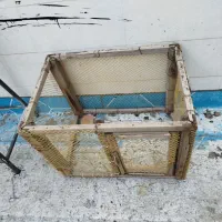 قفس مرغ وخروس وکفتر