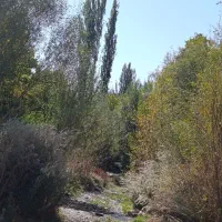 تورگردشگری