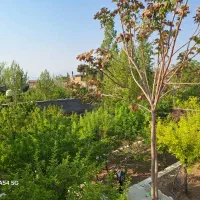 ویلاباغ دلنشین۱۰۰۰زمین۲۵۰بنا طلایی ناب در*مهراباد*