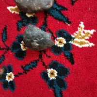 شهاب سنگ|جواهرات|تربتحیدریه, ترمینال|دیوار