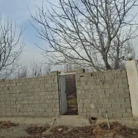 باغچه-نقلی-مناسب-سرمایه-گذاری