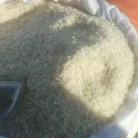 برنج هاشمی اصل