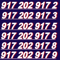 917.202.917.2