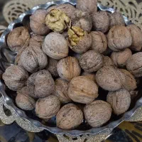 گردو با کیفیت