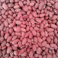 لوبیا قرمز تمیز