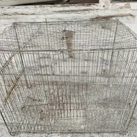 قفس پرنده