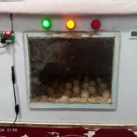 دستگاه جوجه کشی