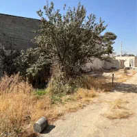 باغچه ۵۱۵متری محمد شهر خ مشرف|فروش خانه و ویلا|محمدشهر, زیبادشت|دیوار