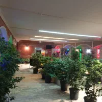 سفره خانه