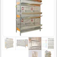 قفس مرغ تخم گذار(ماژورر) وقفسه جوجه یک روزه پراور