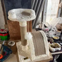 جای خواب گربه/ اسکرچر