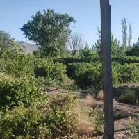باغ گل محمدی
