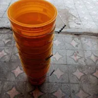 سطل خالی موجود شد|ظروف نگهدارنده، پلاستیکی، یکبارمصرف|ایرانشهر, |دیوار